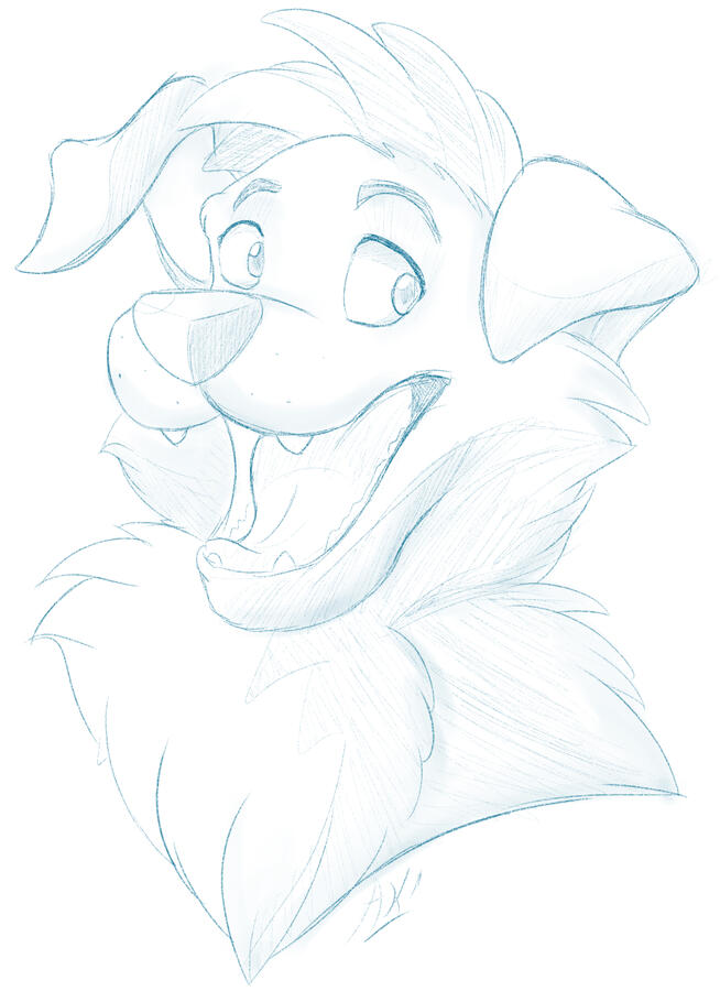 Regular Sketch